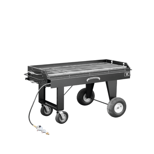 Propane Grill