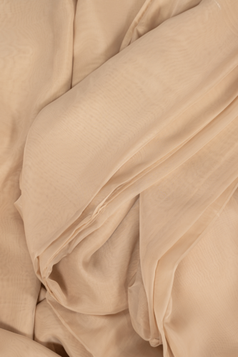 Sheer Champagne Drape